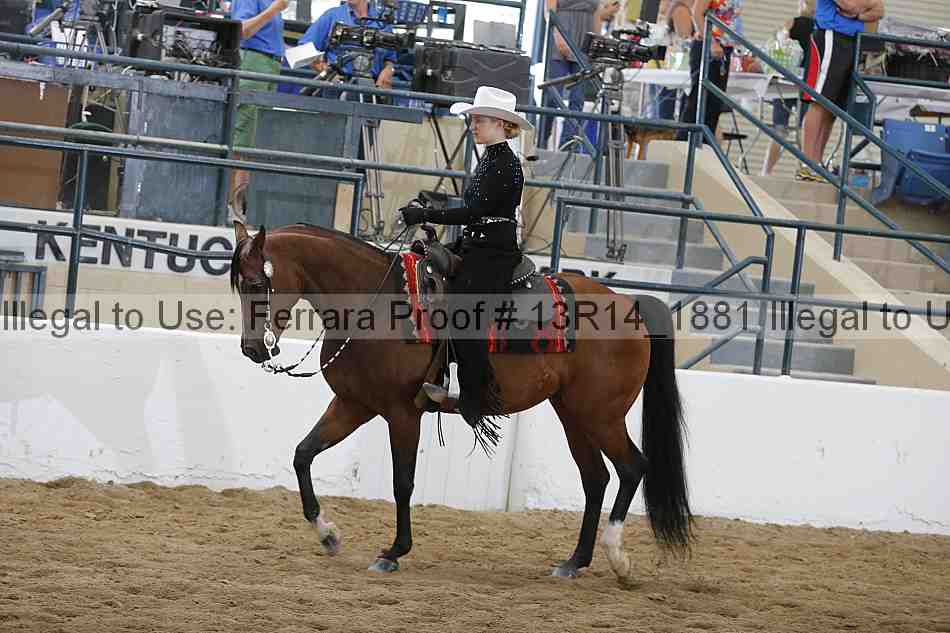 Proof 13r14_1881