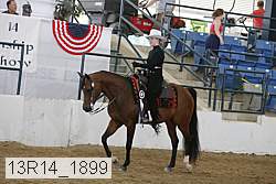 13r14_1899 proof