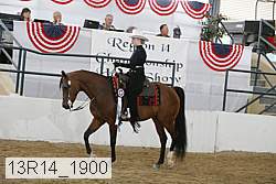13r14_1900 proof