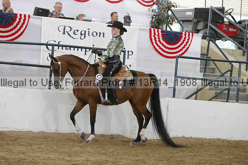 Proof 13r14_1908