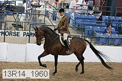 13r14_1960 proof