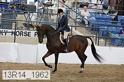 13r14_1962 proof