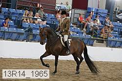 13r14_1965 proof