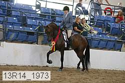 13r14_1973 proof