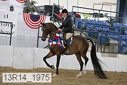 13r14_1975 proof
