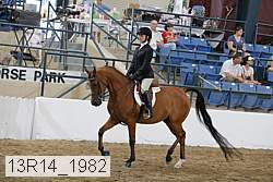 13r14_1982 proof