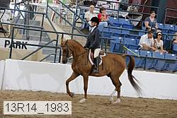 13r14_1983 proof