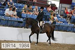 13r14_1984 proof