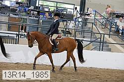 13r14_1985 proof