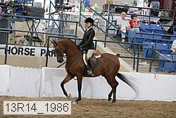 13r14_1986 proof