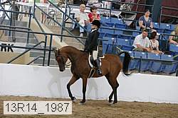 13r14_1987 proof
