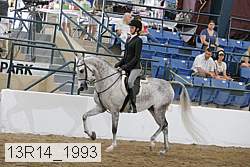 13r14_1993 proof