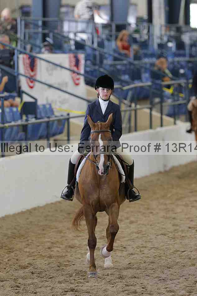 Proof 13r14_1994