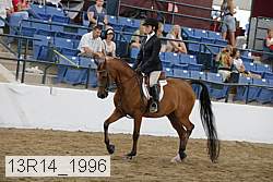 13r14_1996 proof