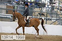 13r14_1998 proof