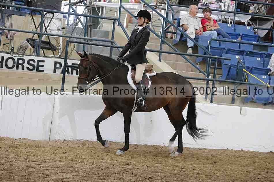 Proof 13r14_2002