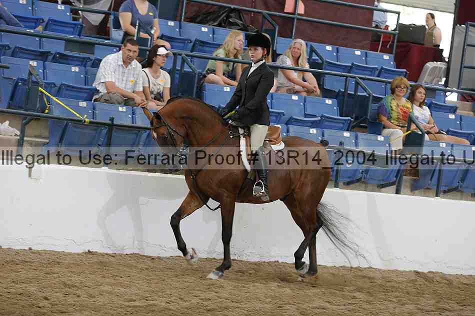 Proof 13r14_2004