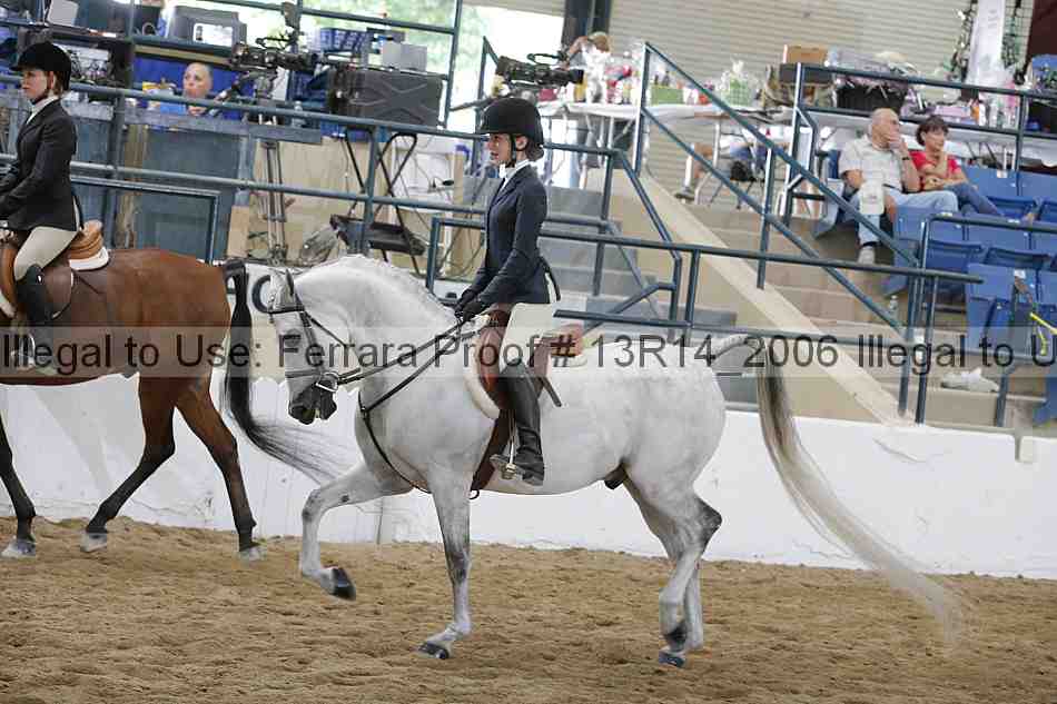 Proof 13r14_2006