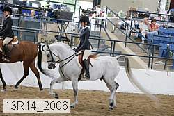 13r14_2006 proof