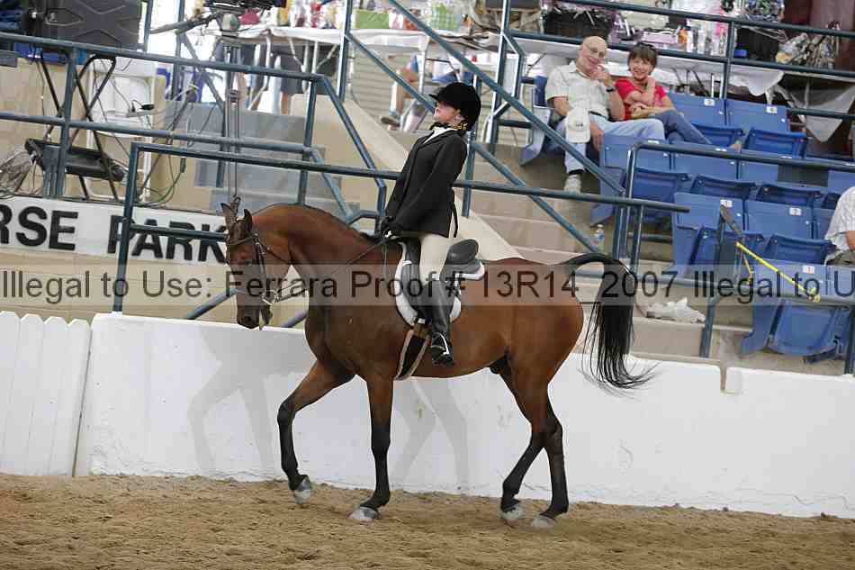 Proof 13r14_2007