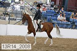 13r14_2008 proof