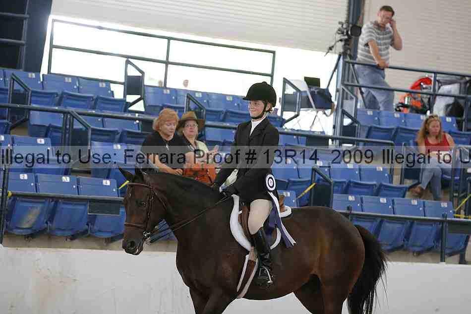 Proof 13r14_2009