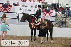 13r14_2011 proof