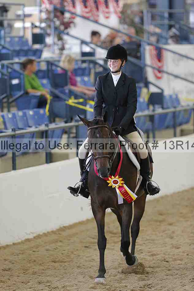 Proof 13r14_2013