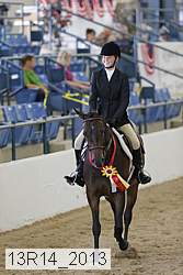 13r14_2013 proof