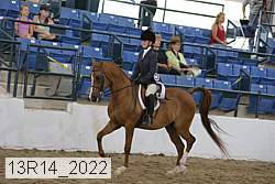 13r14_2022 proof