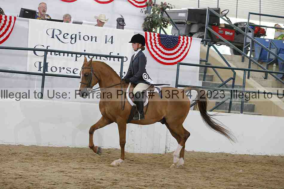 Proof 13r14_2023