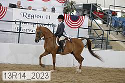 13r14_2023 proof