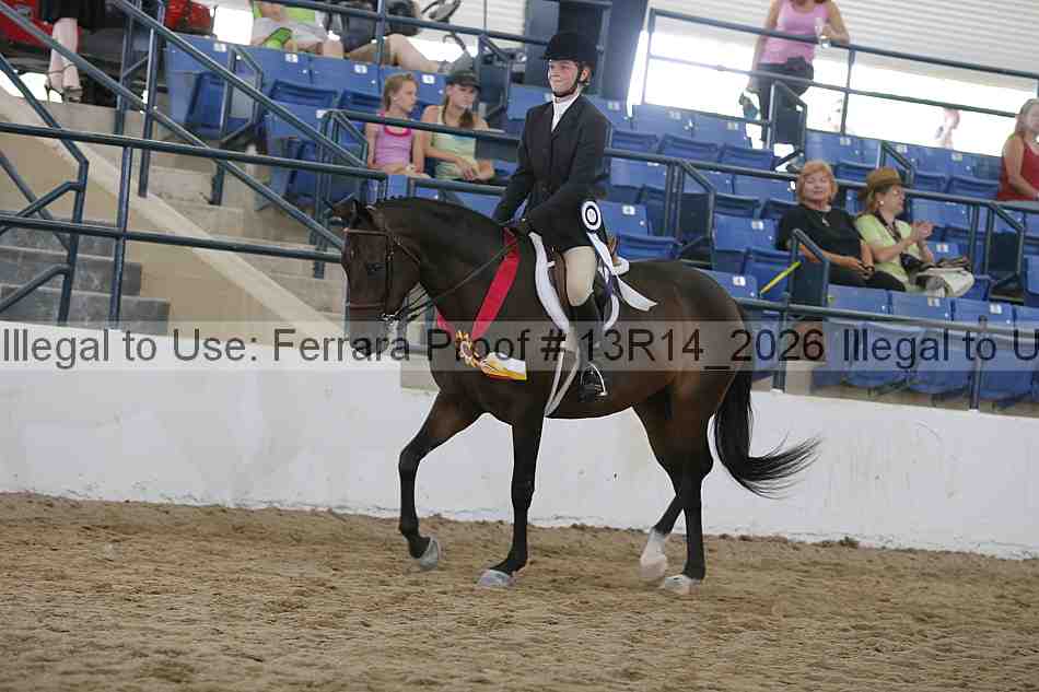 Proof 13r14_2026