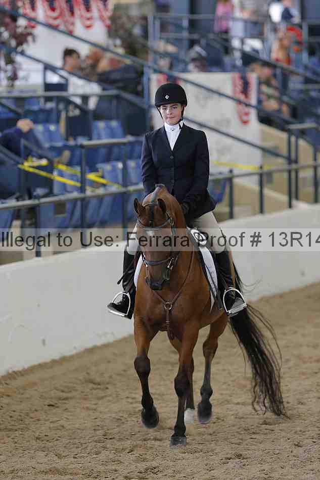 Proof 13r14_2029