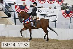 13r14_2033 proof