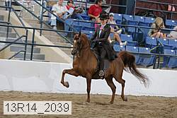 13r14_2039 proof