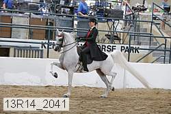 13r14_2041 proof