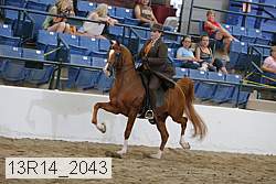 13r14_2043 proof