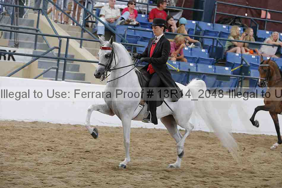 Proof 13r14_2048