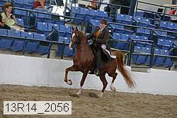 13r14_2056 proof