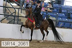 13r14_2061 proof