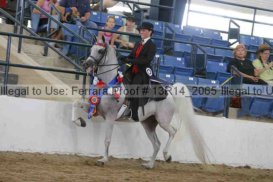 Proof 13r14_2065