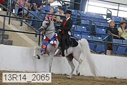 13r14_2065 proof