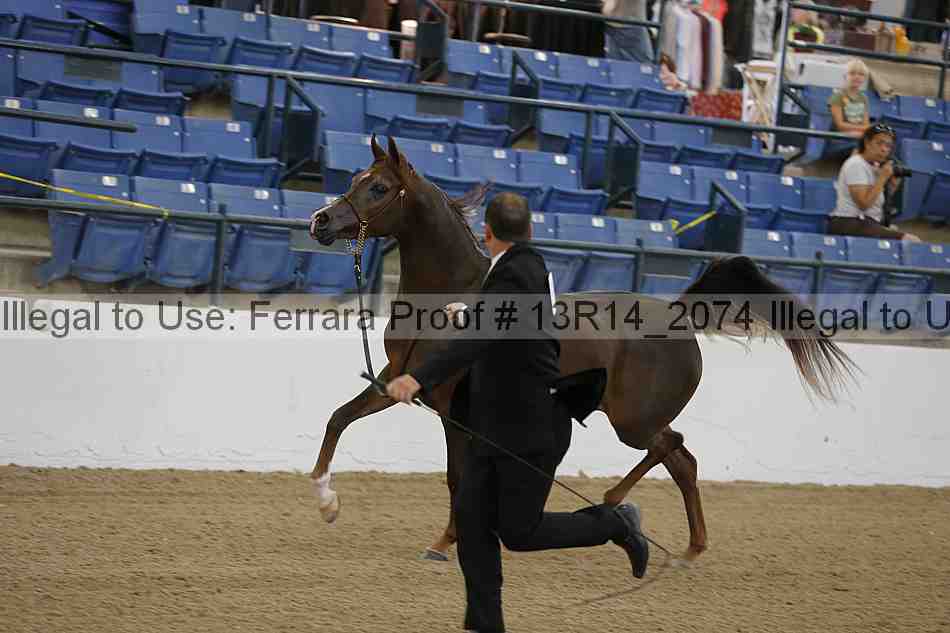 Proof 13r14_2074