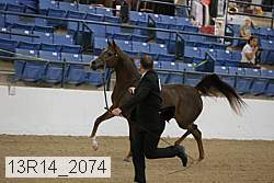 13r14_2074 proof