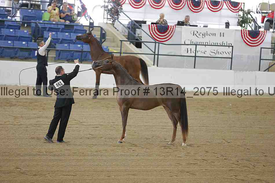 Proof 13r14_2075