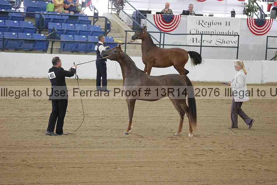 Proof 13r14_2076