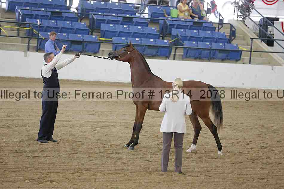 Proof 13r14_2078