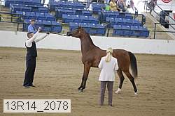 13r14_2078 proof