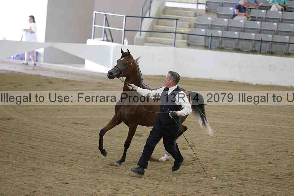 Proof 13r14_2079